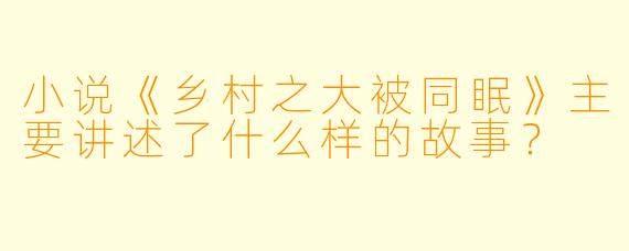 小说《乡村之大被同眠》主要讲述了什么样的故事？