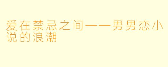 爱在禁忌之间——男男恋小说的浪潮