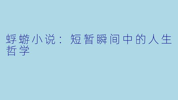 蜉蝣小说：短暂瞬间中的人生哲学