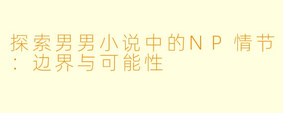 探索男男小说中的NP情节:边界与可能性