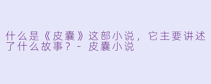 什么是《皮囊》这部小说,它主要讲述了什么故事?