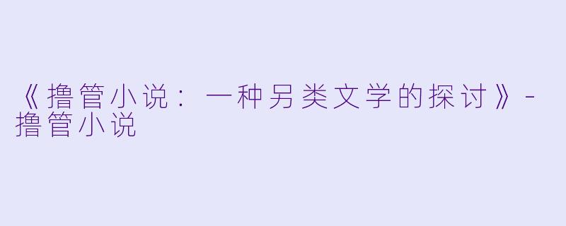 《撸管小说:一种另类文学的探讨》