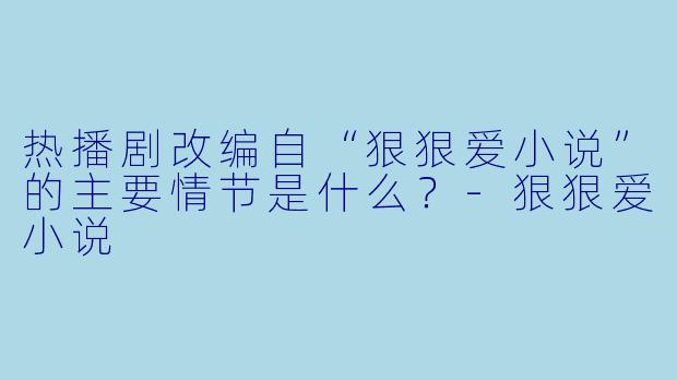 热播剧改编自“狠狠爱小说”的主要情节是什么？