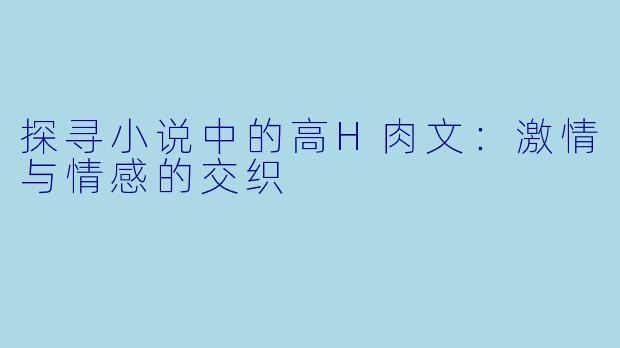 探寻小说中的高H肉文：激情与情感的交织