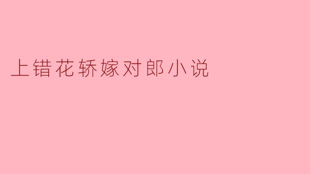 上错花轿嫁对郎小说