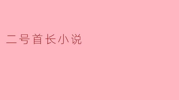 二号首长小说