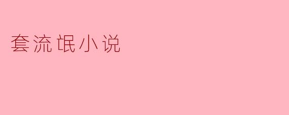套流氓小说
