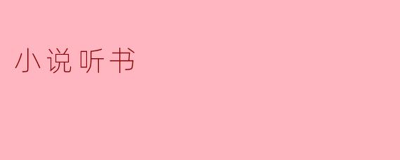 什么是小说听书？