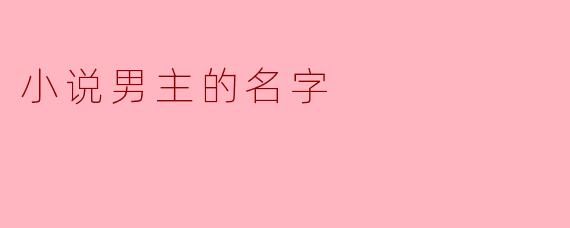 小说男主的名字