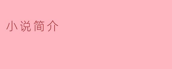 探寻人心深处的故事——小说简介