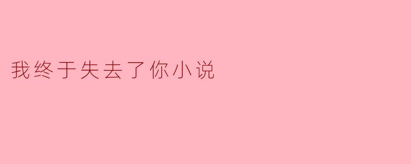 小说《我终于失去了你》主要讲述了什么样的故事?