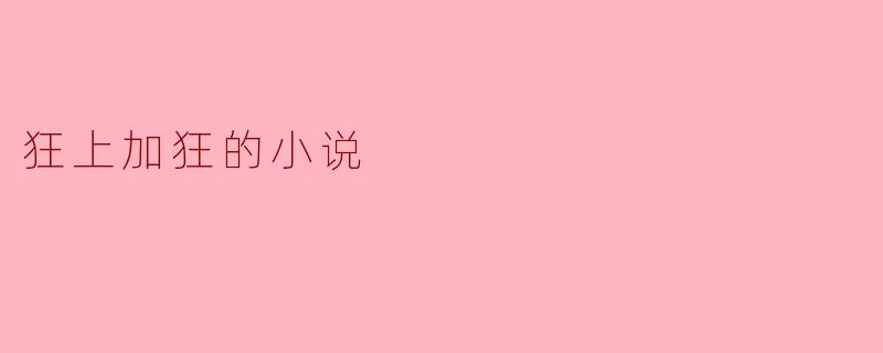 狂上加狂的小说