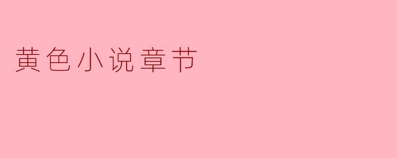 黄色小说章节