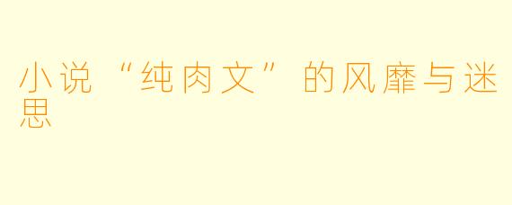 小说“纯肉文”的风靡与迷思
