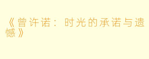 《曾许诺：时光的承诺与遗憾》