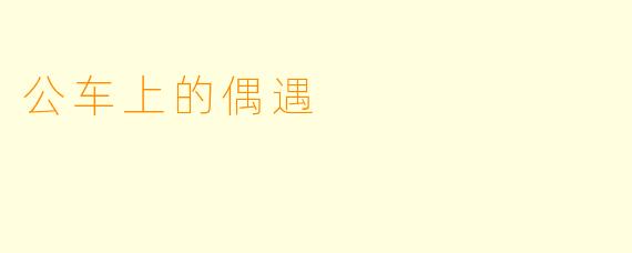 公车上的偶遇