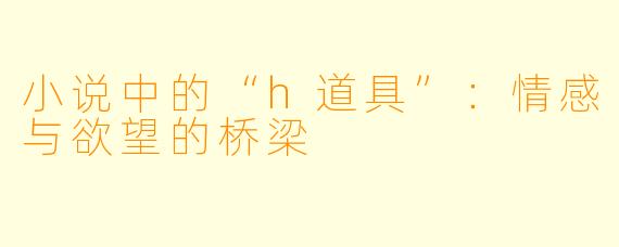 小说中的“h道具”：情感与欲望的桥梁