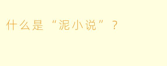 什么是“泥小说”？  