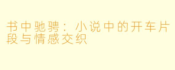 书中驰骋：小说中的开车片段与情感交织