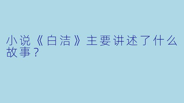 小说《白洁》主要讲述了什么故事？