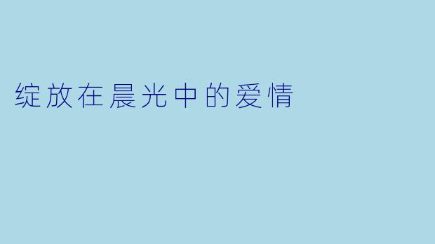 绽放在晨光中的爱情