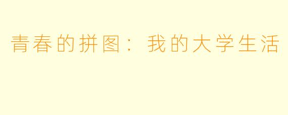 青春的拼图：我的大学生活