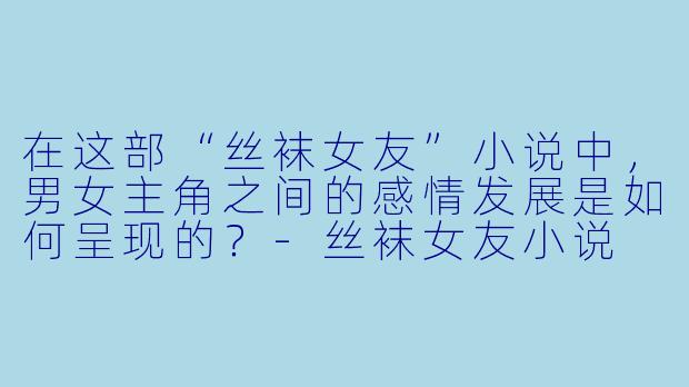 在这部“丝袜女友”小说中,男女主角之间的感情发展是如何呈现的?