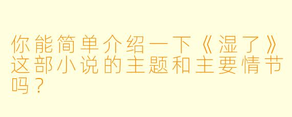 你能简单介绍一下《湿了》这部小说的主题和主要情节吗?