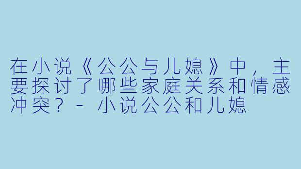 在小说《公公与儿媳》中,主要探讨了哪些家庭关系和情感冲突?