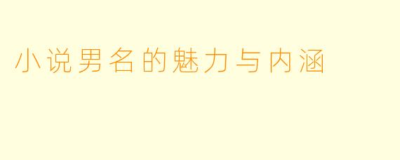 小说男名的魅力与内涵