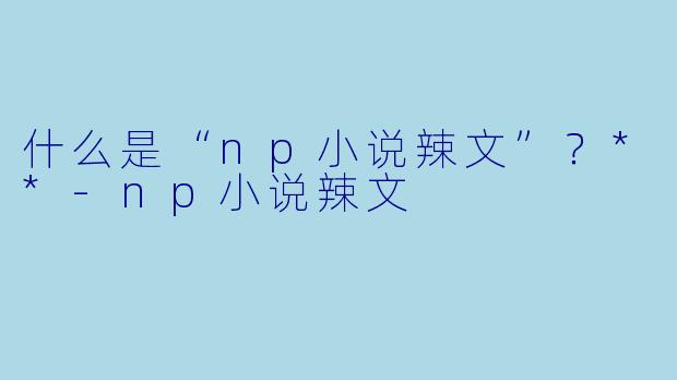什么是“np小说辣文”?**