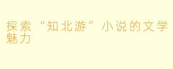 探索“知北游”小说的文学魅力