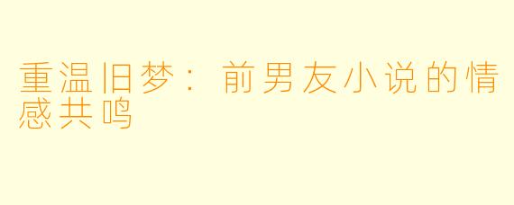 重温旧梦：前男友小说的情感共鸣
