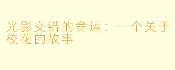 光影交错的命运：一个关于校花的故事
