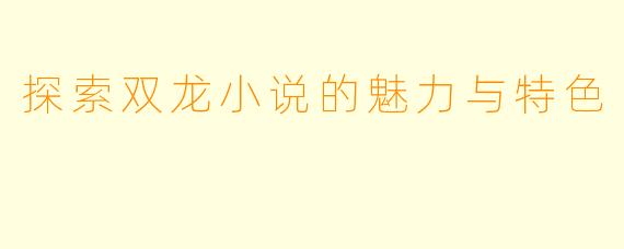 探索双龙小说的魅力与特色
