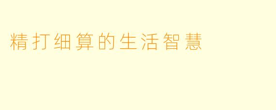精打细算的生活智慧