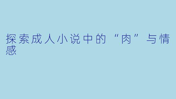 探索成人小说中的“肉”与情感