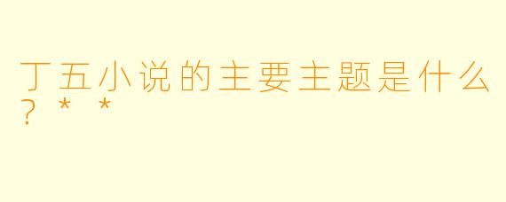 丁五小说的主要主题是什么？**