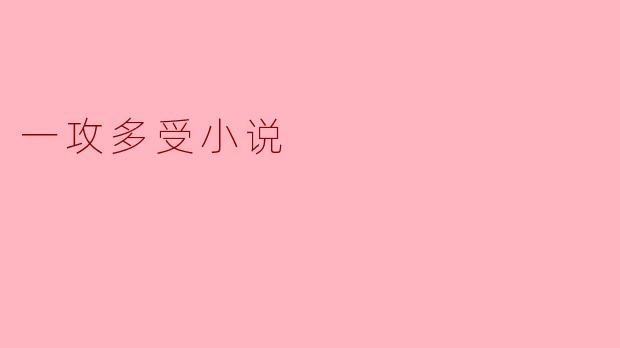 一攻多受小说