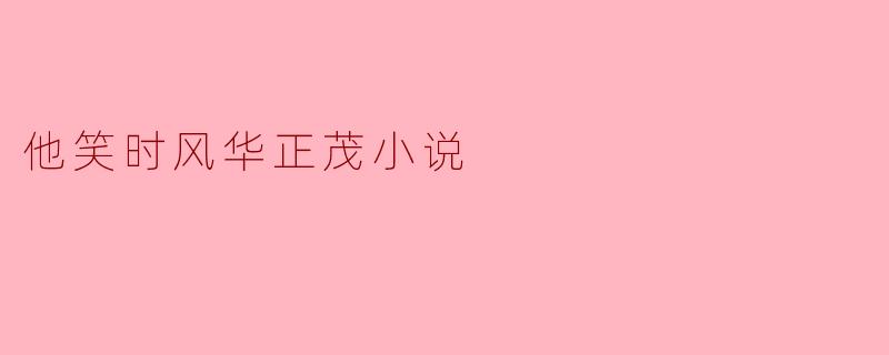 他笑时风华正茂小说