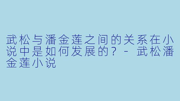 武松与潘金莲之间的关系在小说中是如何发展的？-武松潘金莲小说