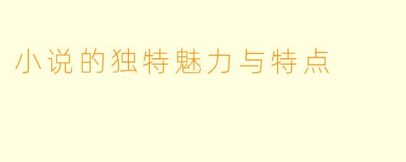 小说的独特魅力与特点