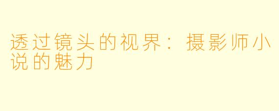透过镜头的视界：摄影师小说的魅力