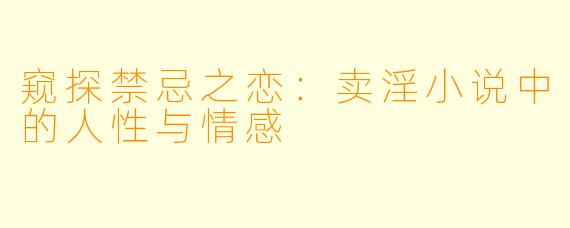 窥探禁忌之恋：卖淫小说中的人性与情感