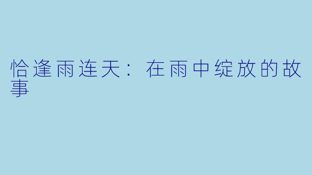 恰逢雨连天：在雨中绽放的故事