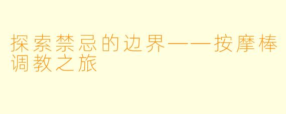 探索禁忌的边界——按摩棒调教之旅