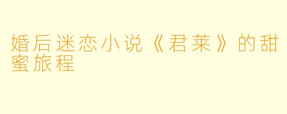 婚后迷恋小说《君莱》的甜蜜旅程