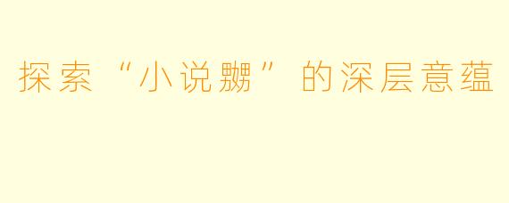 探索“小说嬲”的深层意蕴