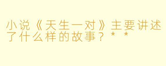 小说《天生一对》主要讲述了什么样的故事?**