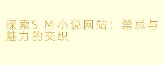 探索SM小说网站：禁忌与魅力的交织